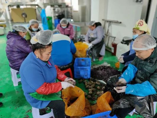 台江县方召镇:打造&ldquo;全产业链&rdquo;发展模式助民增收